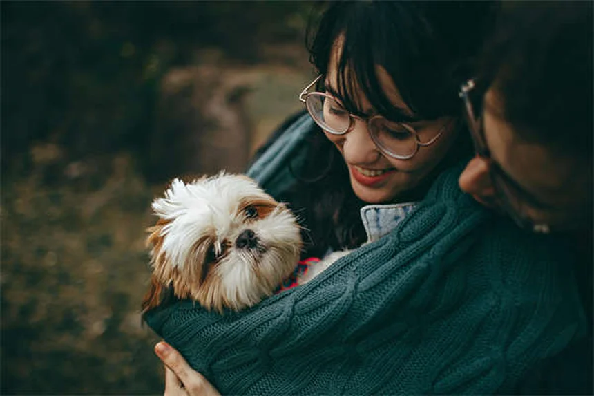 犬用セーター、必要な犬種・不要な犬種【見極め方】